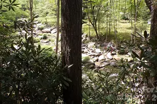 216 Paradise Rd, Hendersonville, NC 28792 - Photo 27