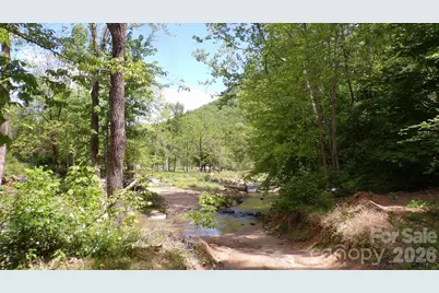 216 Paradise Road, Hendersonville, NC 28792 - Photo 33