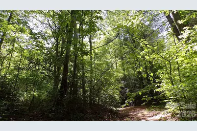 216 Paradise Road, Hendersonville, NC 28792 - Photo 31