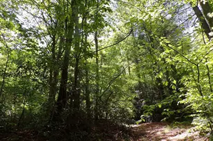216 Paradise Rd, Hendersonville, NC 28792 - Photo 31