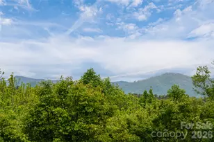 56 Donna Ln, Alexander, NC 28701 - Photo 5