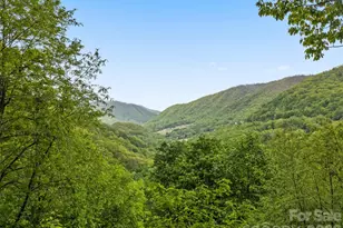 297 Hidden Cove Rd, Maggie Valley, NC 28751 - Photo 3