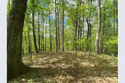 Tbd US 23 Highway, Mars Hill, NC 28754 - Photo 5
