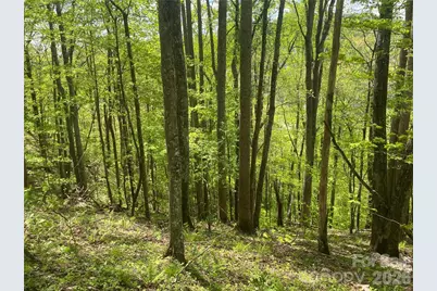 Tbd US 23 Highway, Mars Hill, NC 28754 - Photo 13