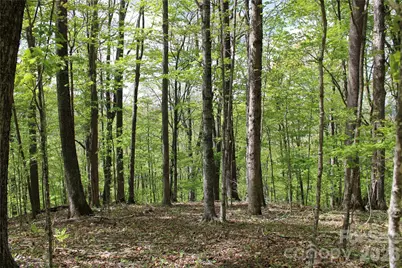 Tbd US 23 Highway, Mars Hill, NC 28754 - Photo 7