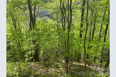 Tbd US 23 Highway, Mars Hill, NC 28754 - Photo 15