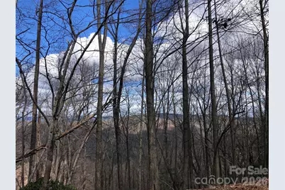 Tbd Bobcat Mountain Road #21, Purlear, NC 28665 - Photo 21