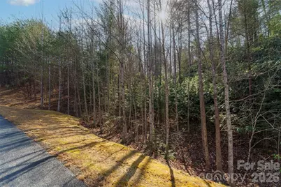 265 Harborside Drive #250, Nebo, NC 28761 - Photo 3