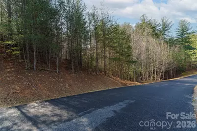 265 Harborside Drive #250, Nebo, NC 28761 - Photo 5