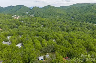 14 Locust St, Black Mountain, NC 28711 - Photo 45