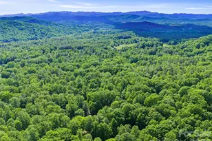 303 Brightwater Heights Dr, Hendersonville, NC 28791 - Photo 5