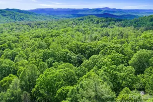 303 Brightwater Heights Dr, Hendersonville, NC 28791 - Photo 45