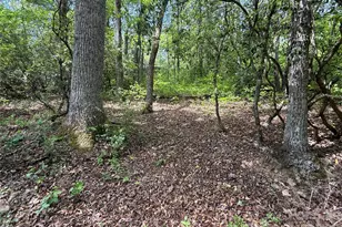 39 Lisa Ct, Otto, NC 28763 - Photo 11