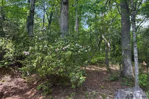 39 Lisa Ct, Otto, NC 28763 - Photo 17