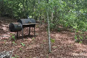 39 Lisa Ct, Otto, NC 28763 - Photo 15