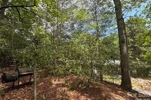 39 Lisa Ct, Otto, NC 28763 - Photo 13