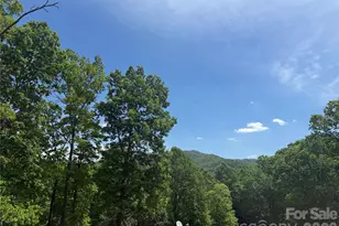 39 Lisa Ct, Otto, NC 28763 - Photo 25