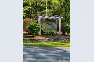 109 Spring Hollow Road, Lake Lure, NC 28746 - Photo 3
