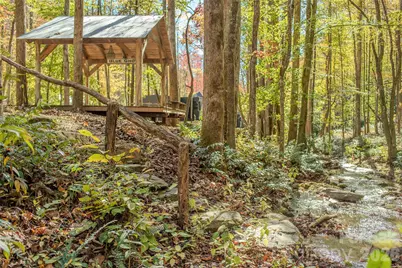 195 Still Waters Lane, Brevard, NC 28712 - Photo 3