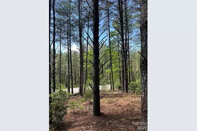 3227 Ella Marie Way, Nebo, NC 28761 - Photo 7