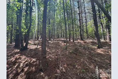 3227 Ella Marie Way, Nebo, NC 28761 - Photo 9
