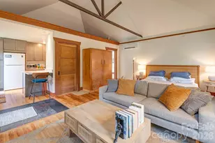 14 Watauga St, Asheville, NC 28801 - Photo 29