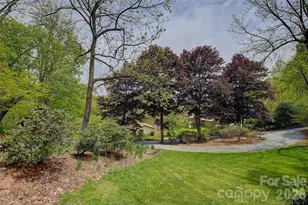 262 Azalea Hills Ln, Spruce Pine, NC 28777 - Photo 7