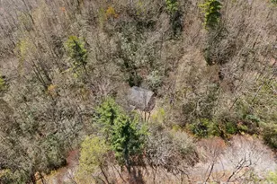 8977 Rose Hollow Ave, Newland, NC 28657 - Photo 21