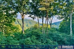 152 SkyView Cir, Asheville, NC 28804 - Photo 3