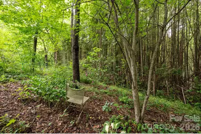 181 Glendale Avenue, Asheville, NC 28803 - Photo 29