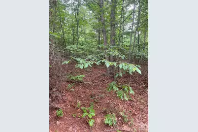 2426 Ore Bank Road, Smyrna, SC 29743 - Photo 17