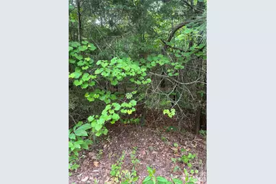 2426 Ore Bank Road, Smyrna, SC 29743 - Photo 3