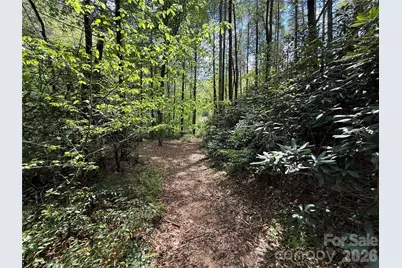 000 Kings Glen Road, Old Fort, NC 28762 - Photo 5