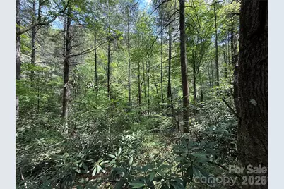 000 Kings Glen Road, Old Fort, NC 28762 - Photo 11