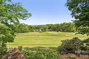 3 Greenbriar Woods Cir, Etowah, NC 28729 - Photo 29