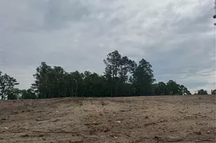 Lot B Bailey Sawmill Rd, Ruby, SC 29741 - Photo 1