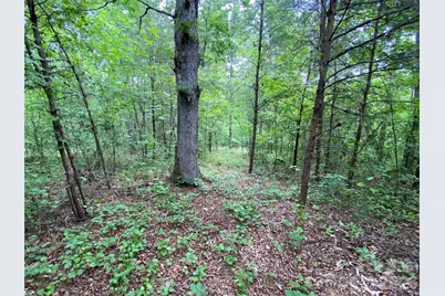 00 Kiser Road, Bostic, NC 28018 - Photo 13