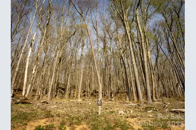 S-92 Talon Trail, Banner Elk, NC 28604 - Photo 3