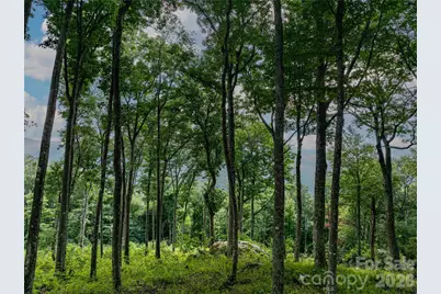 G30 Lodge Woods Trail, Banner Elk, NC 28604 - Photo 5