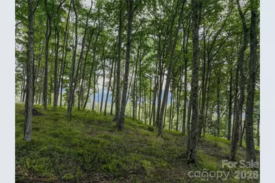 G30 Lodge Woods Trail, Banner Elk, NC 28604 - Photo 3