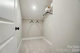 12019 Lavinia Ln, Charlotte, NC 28277 - Photo 37