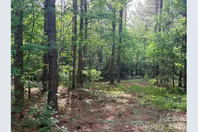 0 Morrow Motor Road, Forest City, NC 28043 - Photo 7