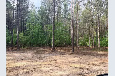 0 Morrow Motor Road, Forest City, NC 28043 - Photo 5