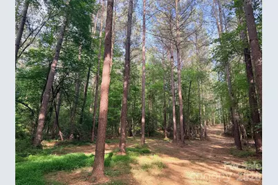 0 Morrow Motor Road, Forest City, NC 28043 - Photo 13