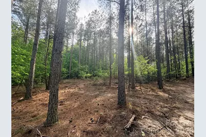 0 Morrow Motor Road, Forest City, NC 28043 - Photo 15
