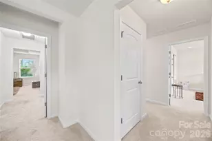 14107 Magnolia Walk Dr, Huntersville, NC 28078 - Photo 33