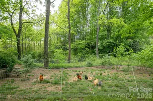 470 Cherryfield Loop, Brevard, NC 28712 - Photo 31