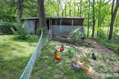 470 Cherryfield Loop, Brevard, NC 28712 - Photo 27
