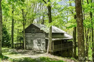 524 McDaris Loop Dr, Mars Hill, NC 28754 - Photo 31