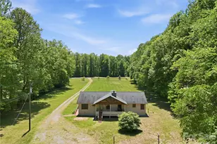 3540 Fork Creek Rd, Saluda, NC 28773 - Photo 7